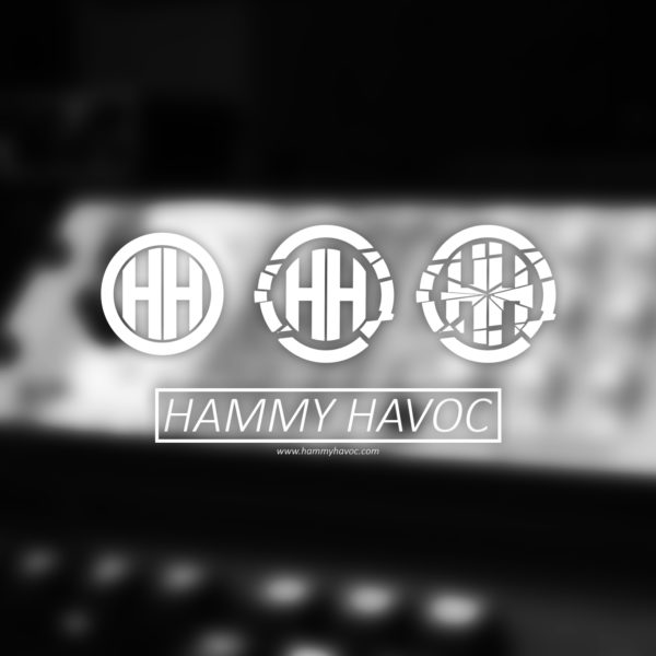 Hammy Havoc Logos Case Study 4